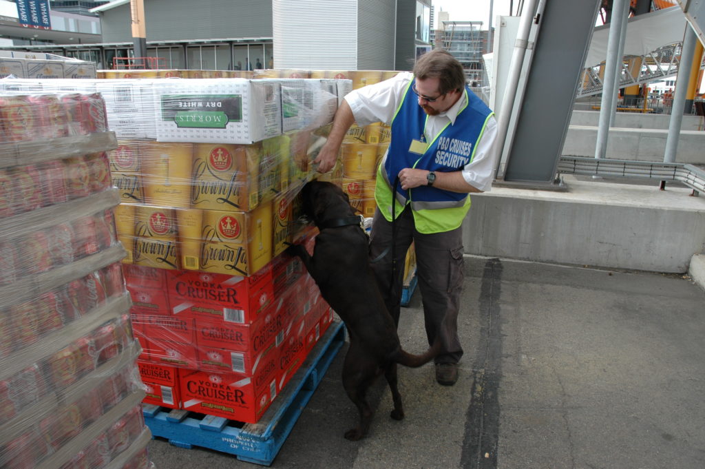 Glenn Cooke conducting a freight search with a detection dog